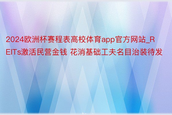 2024欧洲杯赛程表高校体育app官方网站_REITs激活民营金钱 花消基础工夫名目治装待发